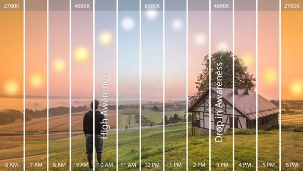 Infographic explaining circadian lighting