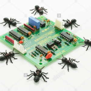 Ants around a componentry board