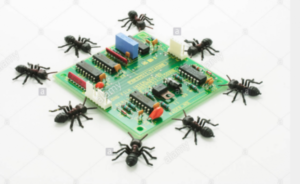 Ants around a componentry board